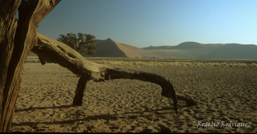 En Namibia. El desierto del Namib